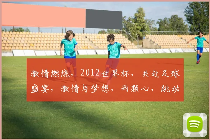 激情燃烧，2012世界杯，共赴足球盛宴，激情与梦想，两颗心，跳动在同一节奏。