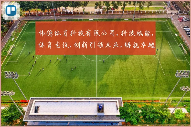 伟德体育科技有限公司,科技赋能,体育竞技,创新引领未来,铸就卓越品牌